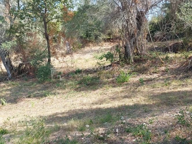 Οικόπεδο στην Μελιτειέοι, Κέρκυρα — Φωτογραφία 9 από 22