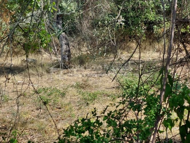 Οικόπεδο στην Μελιτειέοι, Κέρκυρα — Φωτογραφία 11 από 22