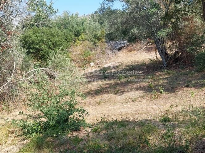 Οικόπεδο στην Μελιτειέοι, Κέρκυρα — Φωτογραφία 7 από 22