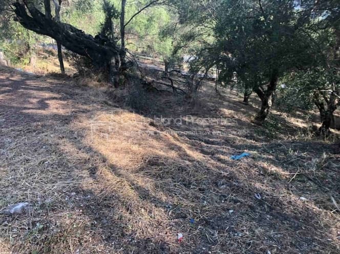Οικόπεδο στην Μελιτειέοι, Κέρκυρα — Φωτογραφία 18 από 22