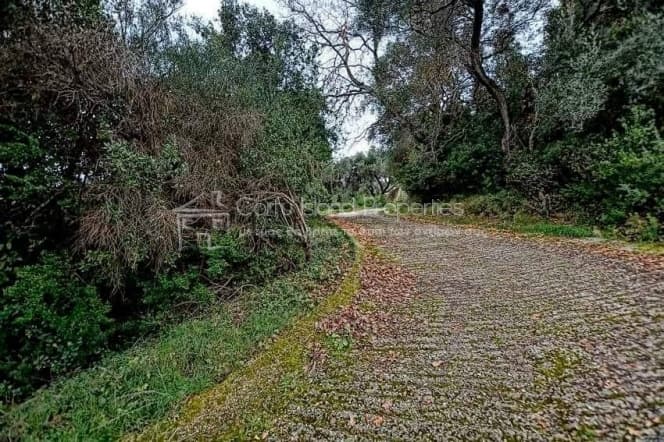 House in Achilleio, Corfu — Photo 21 of 22