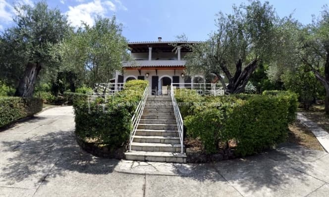 House in Achilleio, Corfu — Photo 1 of 30