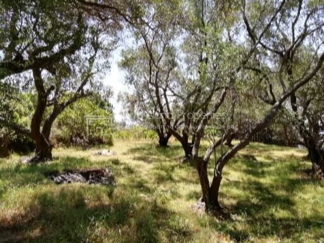 Οικόπεδο στην Μαθράκιο, Κέρκυρα — Φωτογραφία 9 από 10