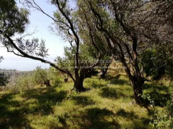 Οικόπεδο στην Μαθράκιο, Κέρκυρα — Φωτογραφία 8 από 10