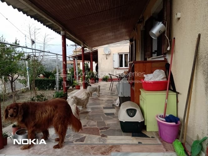 House in Αgios Georgios, Corfu — Photo 11 of 30