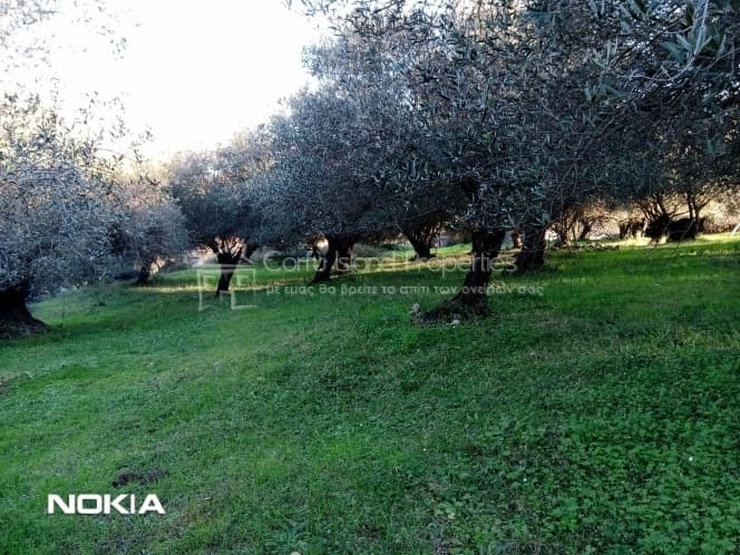 Οικόπεδο στην Παρέλι, Κέρκυρα — Φωτογραφία 4 από 13