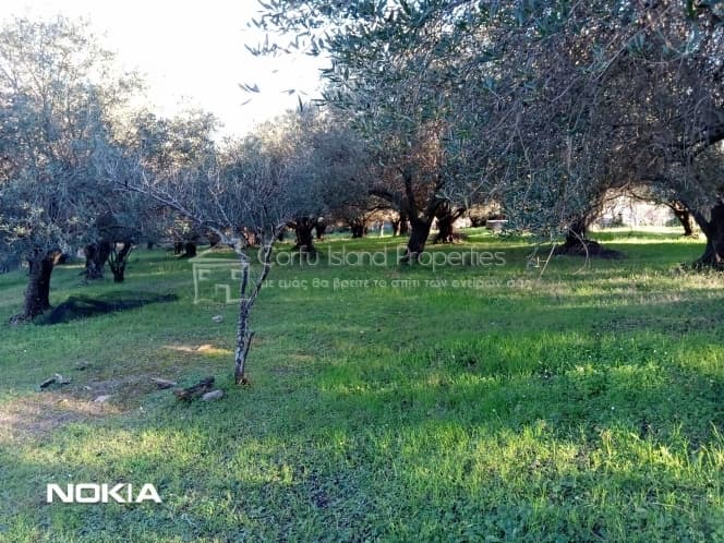 Οικόπεδο στην Παρέλι, Κέρκυρα — Φωτογραφία 5 από 13