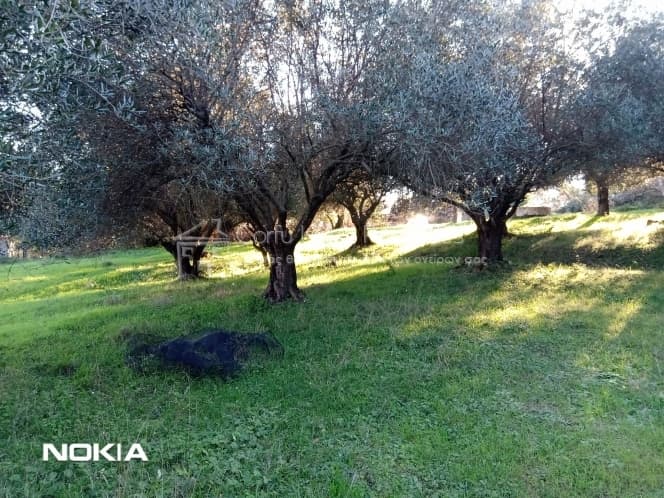 Οικόπεδο στην Παρέλι, Κέρκυρα — Φωτογραφία 3 από 13
