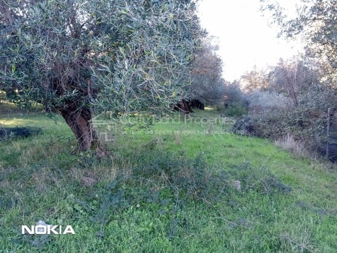 Οικόπεδο στην Παρέλι, Κέρκυρα — Φωτογραφία 10 από 13