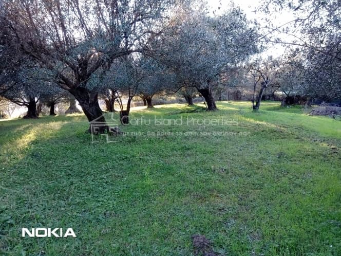 Οικόπεδο στην Παρέλι, Κέρκυρα — Φωτογραφία 1 από 13