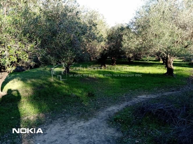 Οικόπεδο στην Παρέλι, Κέρκυρα — Φωτογραφία 11 από 13