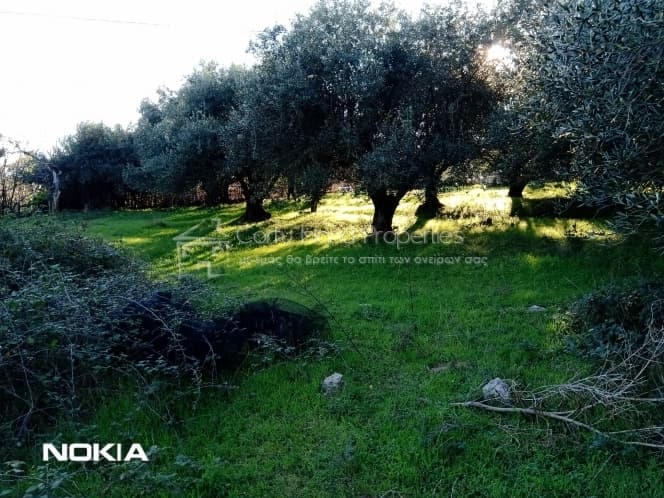 Οικόπεδο στην Παρέλι, Κέρκυρα — Φωτογραφία 6 από 13