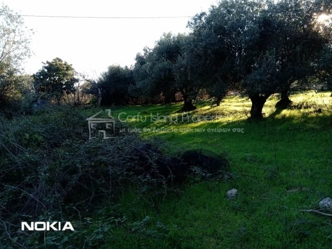 Οικόπεδο στην Παρέλι, Κέρκυρα — Φωτογραφία 9 από 13