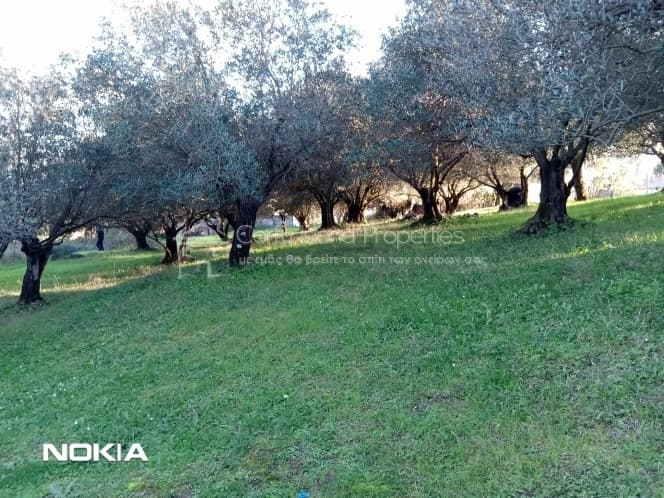 Οικόπεδο στην Παρέλι, Κέρκυρα — Φωτογραφία 2 από 13