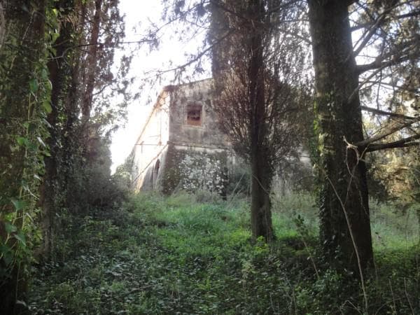 House in Othonoi, Corfu — Photo 9 of 12