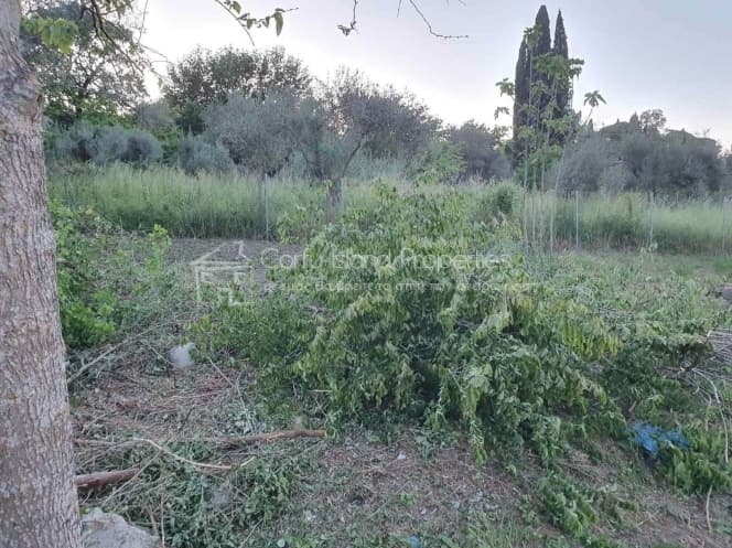 House in Pareli, Corfu — Photo 12 of 16