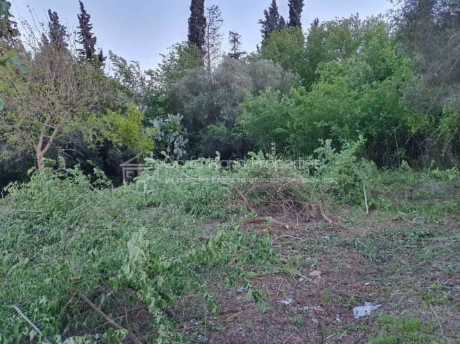 House in Pareli, Corfu — Photo 13 of 16