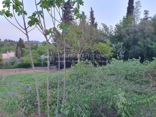 House in Pareli, Corfu — Photo 10 of 16