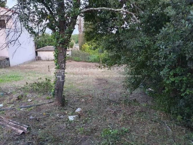 House in Pareli, Corfu — Photo 14 of 16