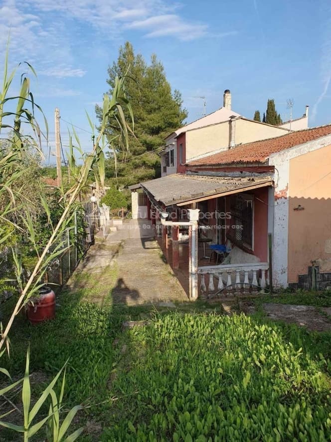 House in Pareli, Corfu — Photo 7 of 16