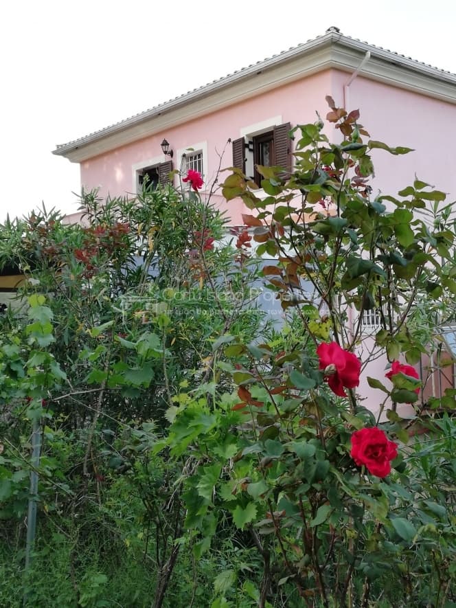 House in Pareli, Corfu — Photo 4 of 30