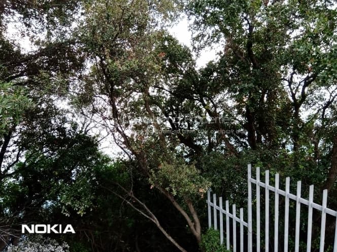 Οικόπεδο στην Μελιτειέοι, Κέρκυρα — Φωτογραφία 27 από 27