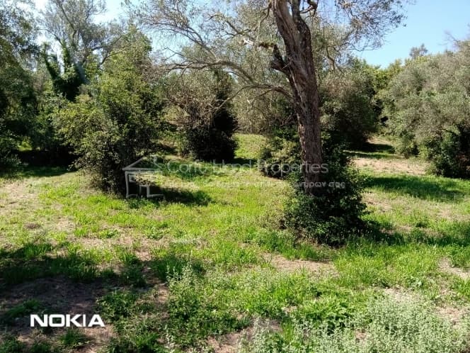 Building Plot in Αgios Georgios, Corfu — Photo 2 of 7
