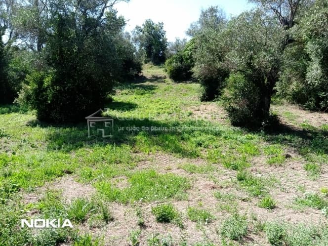 Building Plot in Αgios Georgios, Corfu — Photo 1 of 7