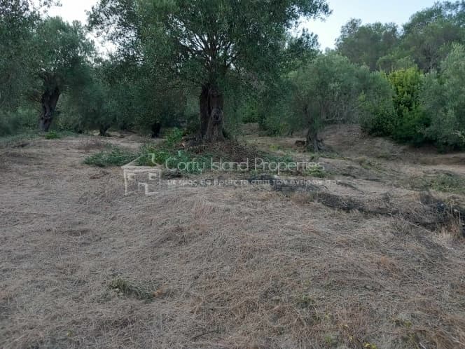 Οικόπεδο στην Αχίλλειο, Κέρκυρα — Φωτογραφία 16 από 29