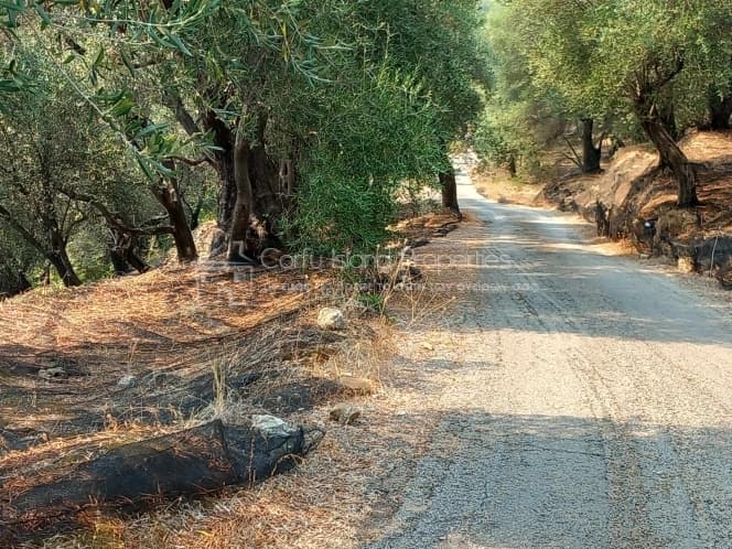 Building Plot in Faiakes, Corfu — Photo 6 of 11