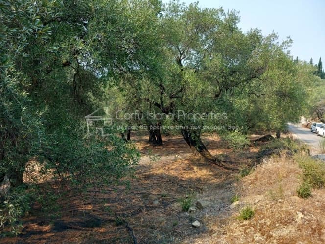 Building Plot in Faiakes, Corfu — Photo 4 of 11