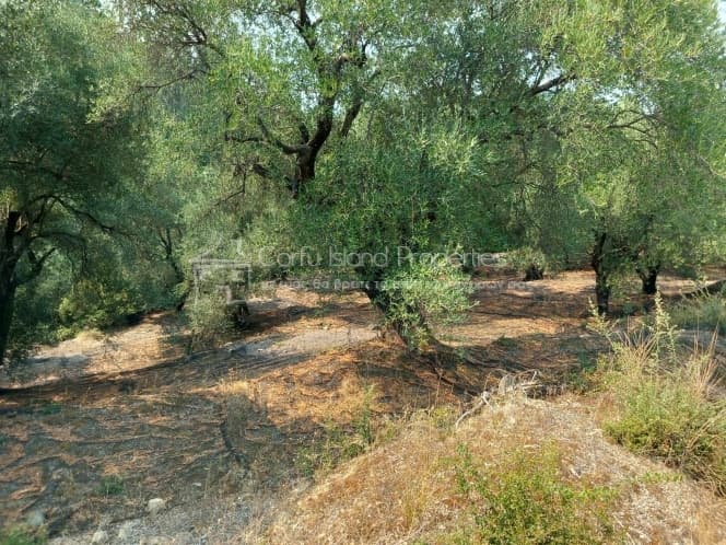 Building Plot in Faiakes, Corfu — Photo 2 of 11
