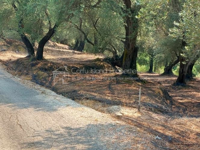Building Plot in Faiakes, Corfu — Photo 5 of 11