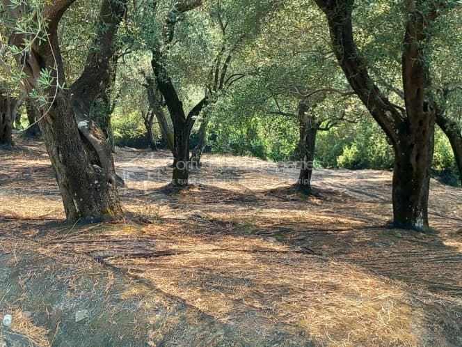 Building Plot in Faiakes, Corfu — Photo 3 of 11