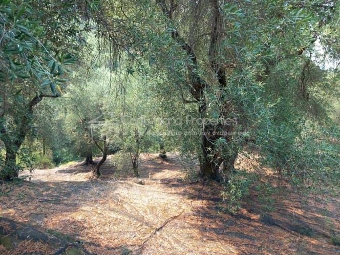 Building Plot in Faiakes, Corfu — Photo 1 of 11