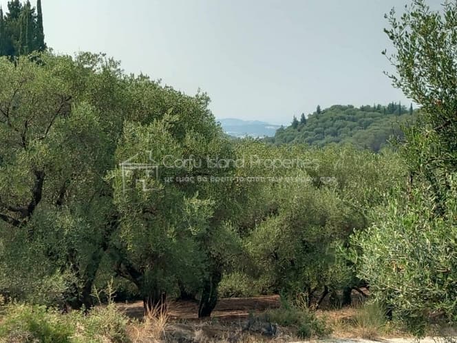 Building Plot in Faiakes, Corfu — Photo 7 of 11