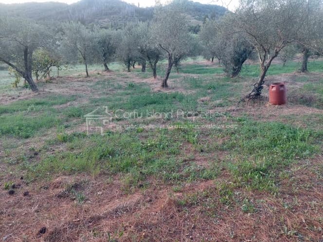 House in Αgios Georgios, Corfu — Photo 9 of 11