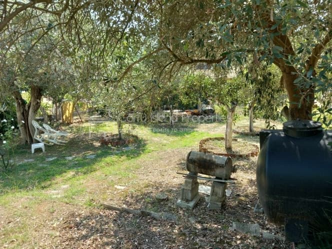 House in Pareli, Corfu — Photo 10 of 30