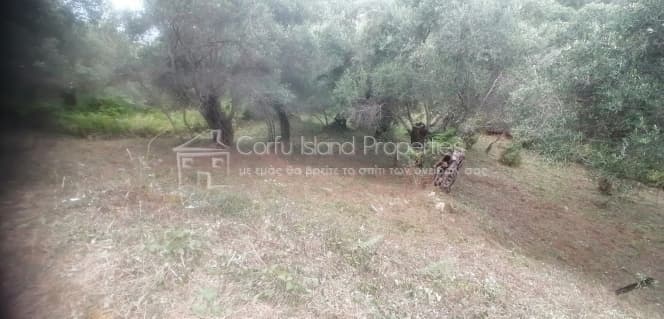 Οικόπεδο στην Παρέλι, Κέρκυρα — Φωτογραφία 8 από 10