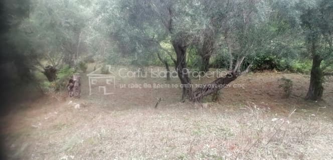 Οικόπεδο στην Παρέλι, Κέρκυρα — Φωτογραφία 7 από 10