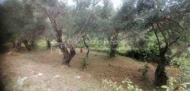 Οικόπεδο στην Παρέλι, Κέρκυρα — Φωτογραφία 9 από 10