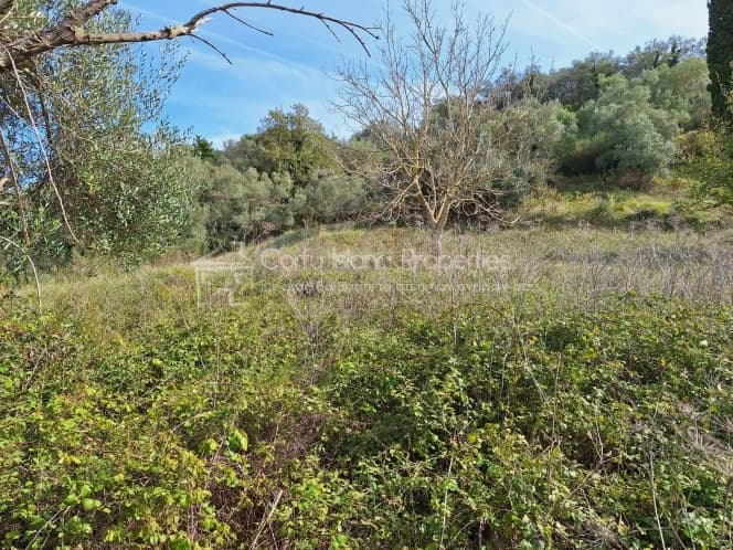 Οικόπεδο στην Αχίλλειο, Κέρκυρα — Φωτογραφία 2 από 25
