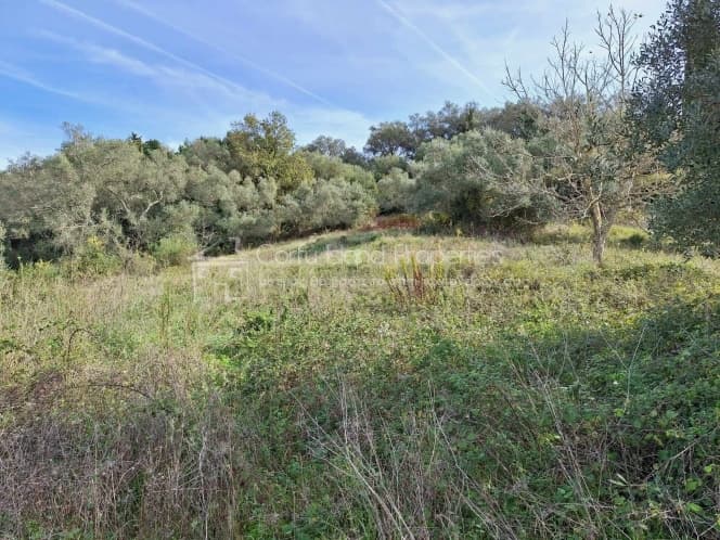 Οικόπεδο στην Αχίλλειο, Κέρκυρα — Φωτογραφία 15 από 25