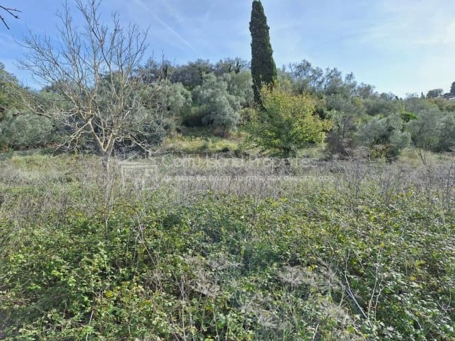 Οικόπεδο στην Αχίλλειο, Κέρκυρα — Φωτογραφία 11 από 25