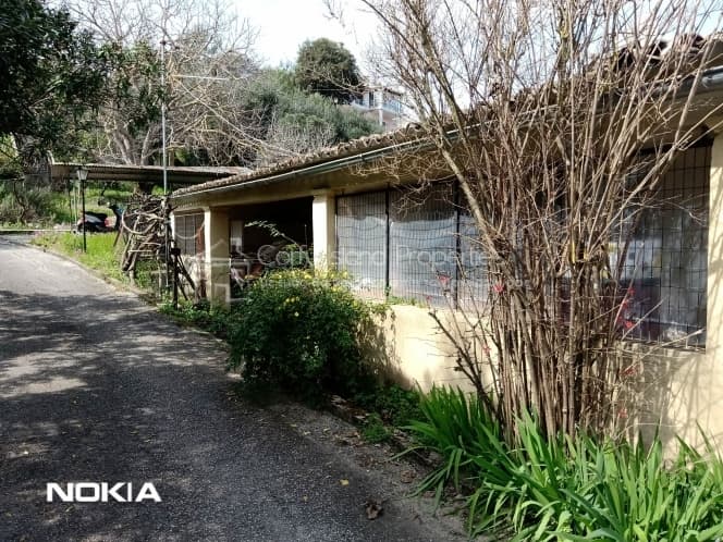 House in Pareli, Corfu — Photo 4 of 10