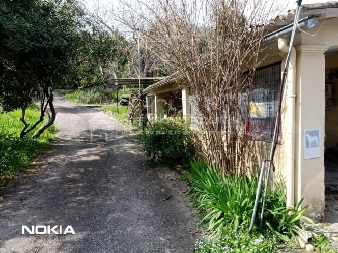 House in Pareli, Corfu — Photo 5 of 10