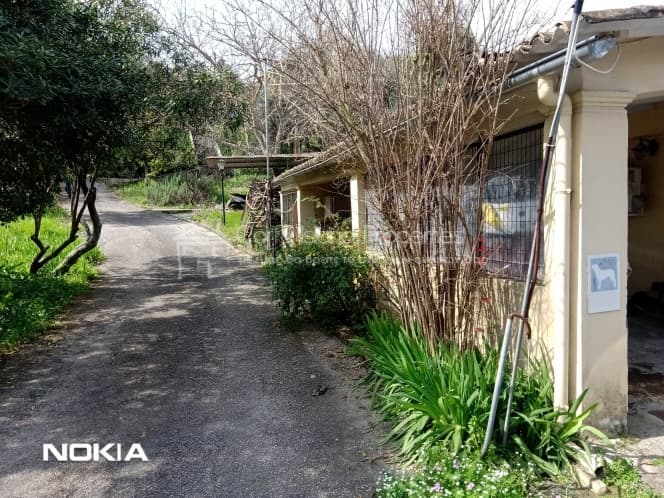 House in Pareli, Corfu — Photo 3 of 10