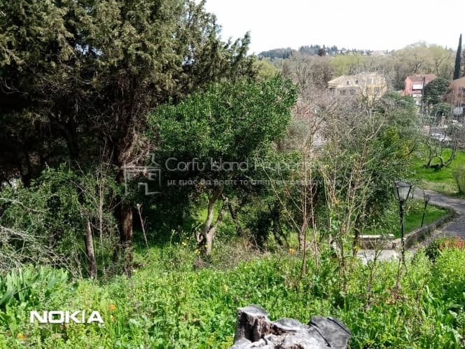 House in Pareli, Corfu — Photo 9 of 10