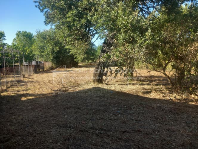 Building Plot in Pareli, Corfu — Photo 6 of 11