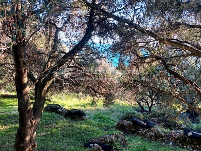 Οικόπεδο στην Μελιτειέοι, Κέρκυρα — Φωτογραφία 11 από 24